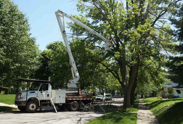 Images Flying W Tree Service
