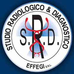Effegi Logo