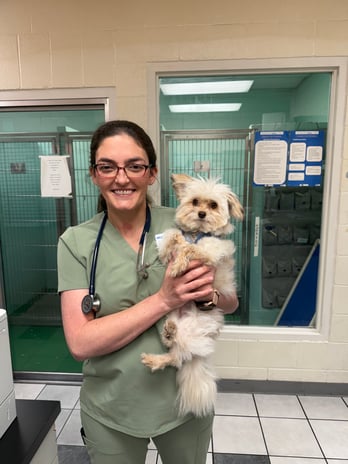 Images VCA Preston Park Animal Hospital