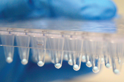 myPOLS Biotec GmbH, Byk-Gulden-Strasse 2 // 10 in Konstanz