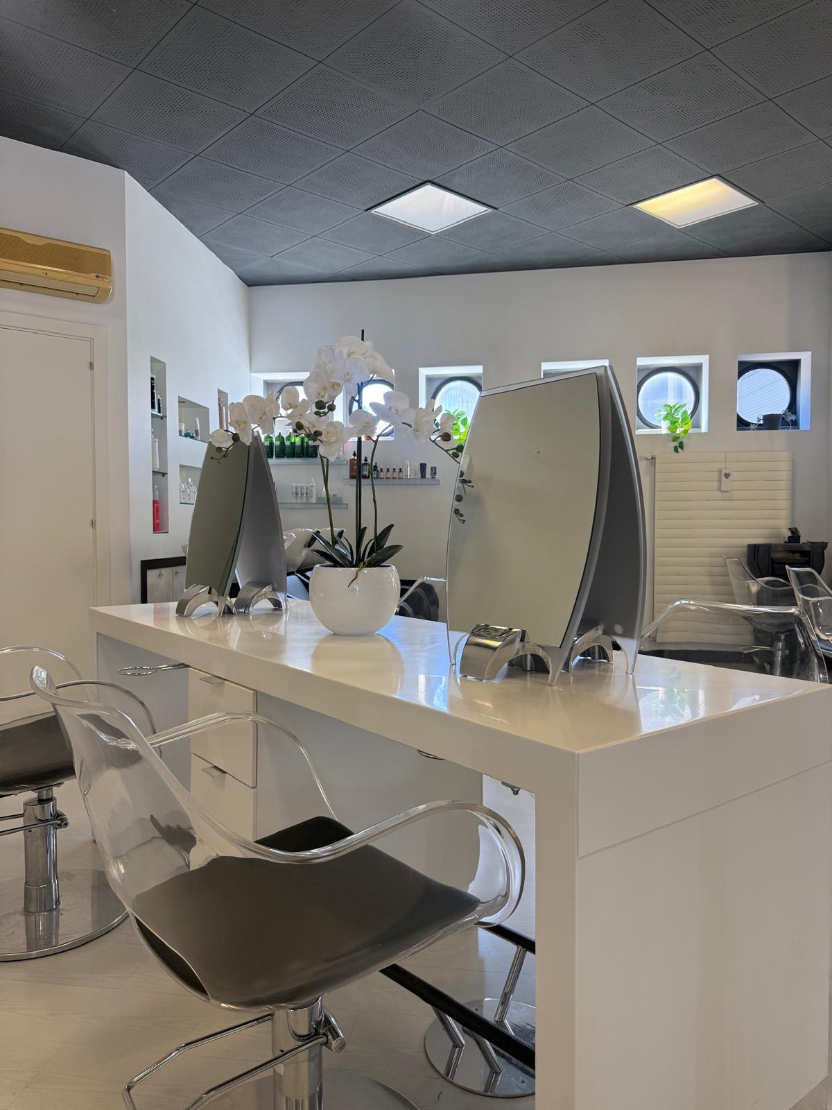 Bilder Elegance hair and beauty