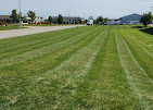 OCD Lawn Image