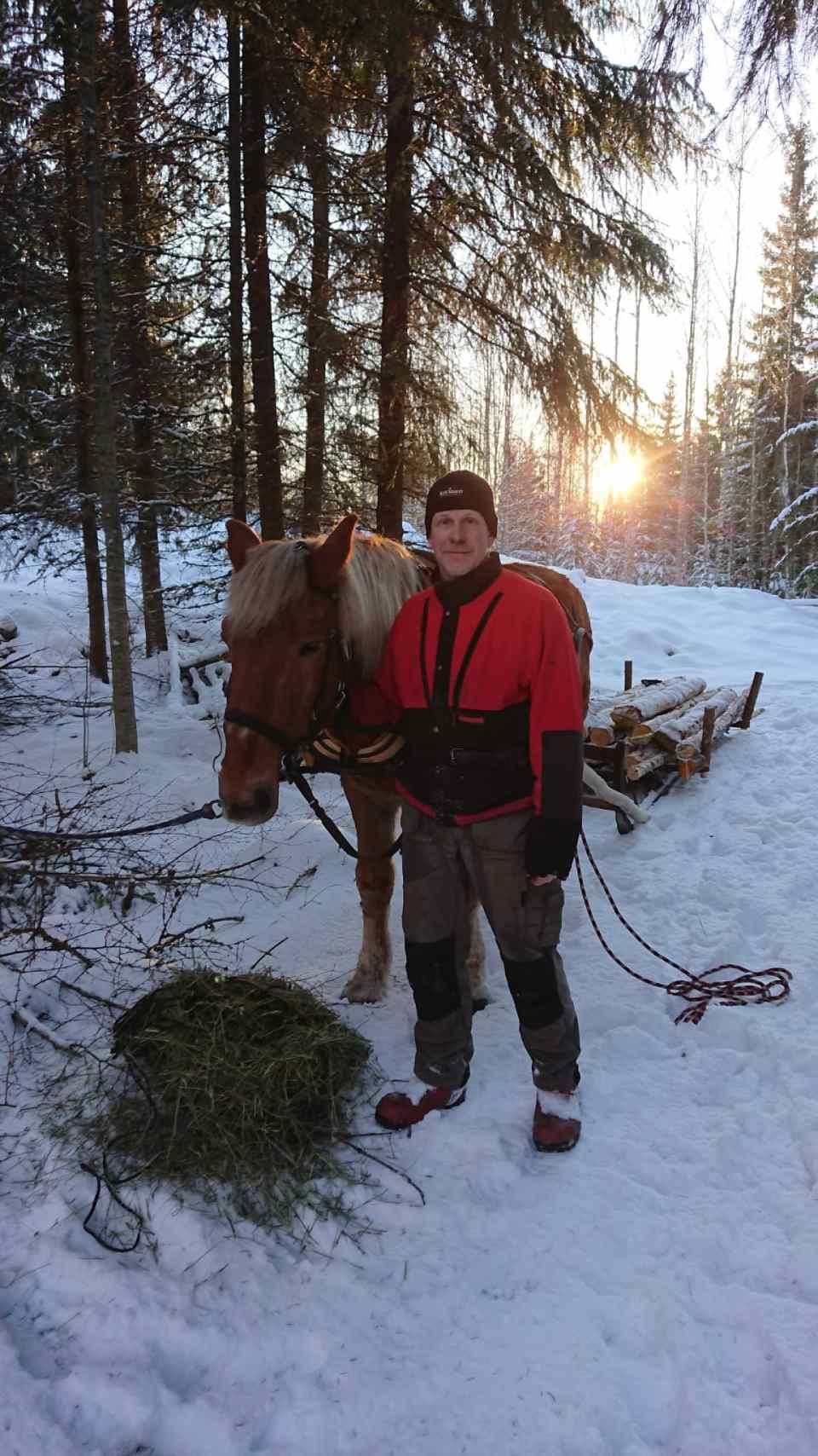 Images Halkomaakari