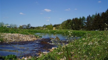 Images Tusågård Put and Take