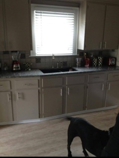 Images Arlotta Painting