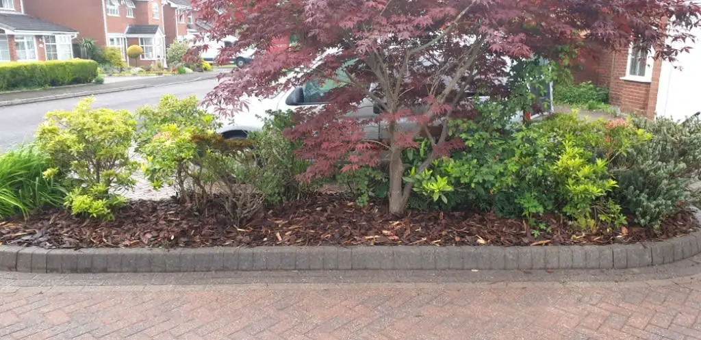 Images Kingston Views Landscaping
