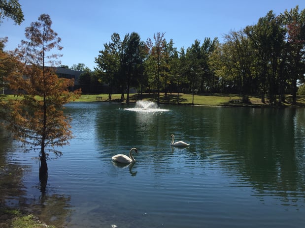 Images Lakeside Behavioral Health System