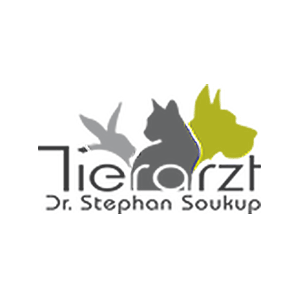 Dipl-TA Dr. Stephan Soukup Logo