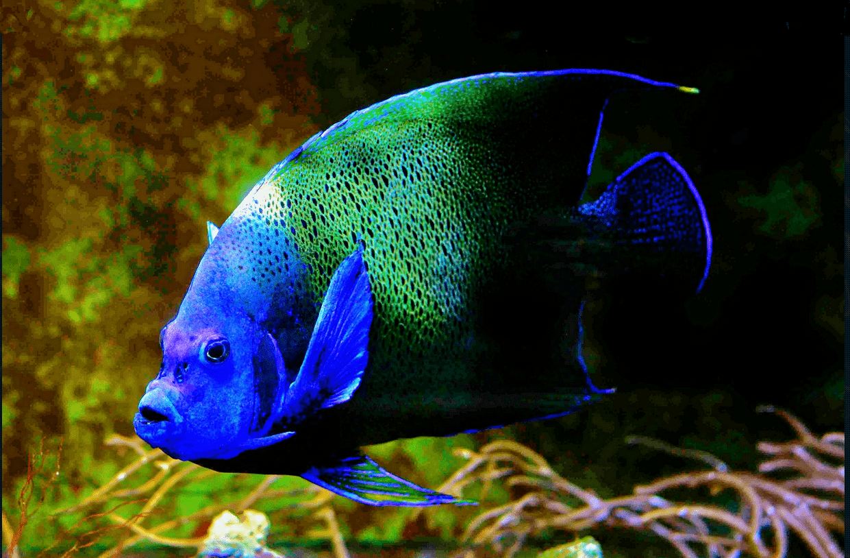 S&L Naturverlag, Bergrat-Mahr-Straße 17 in Ilmenau