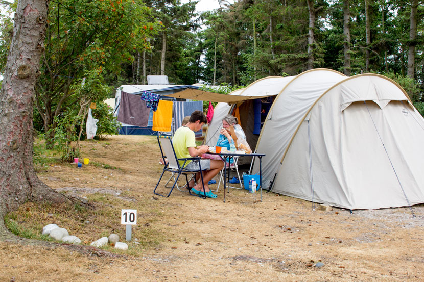 Bild 3 Camping am Deich - Hans-Georg und Christa Hinz in Fehmarn