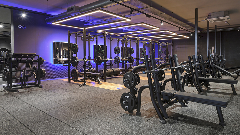 Free Weights Area