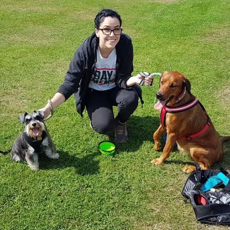 Images Mack's Pet Care