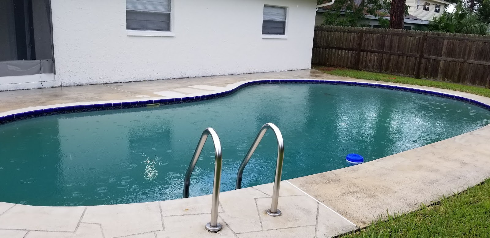 Rectangular backyard swimming pool with dark blue water, stainless steel ladder, light concrete decking, and a private residential setting.