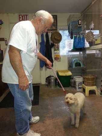 Images Marcinda Kennels