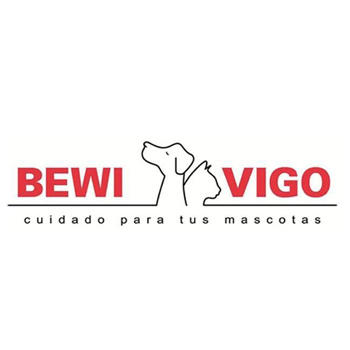 Bewi Vigo 2015 Vigo