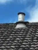 Images Platoon Pest Control