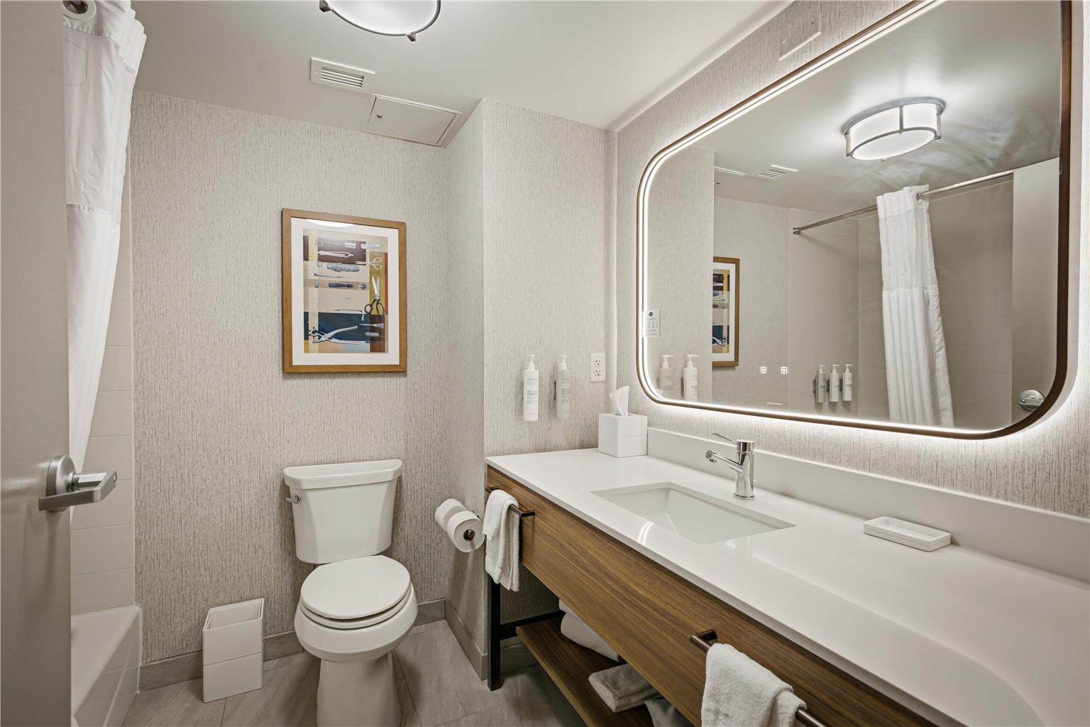 Guest room bath 