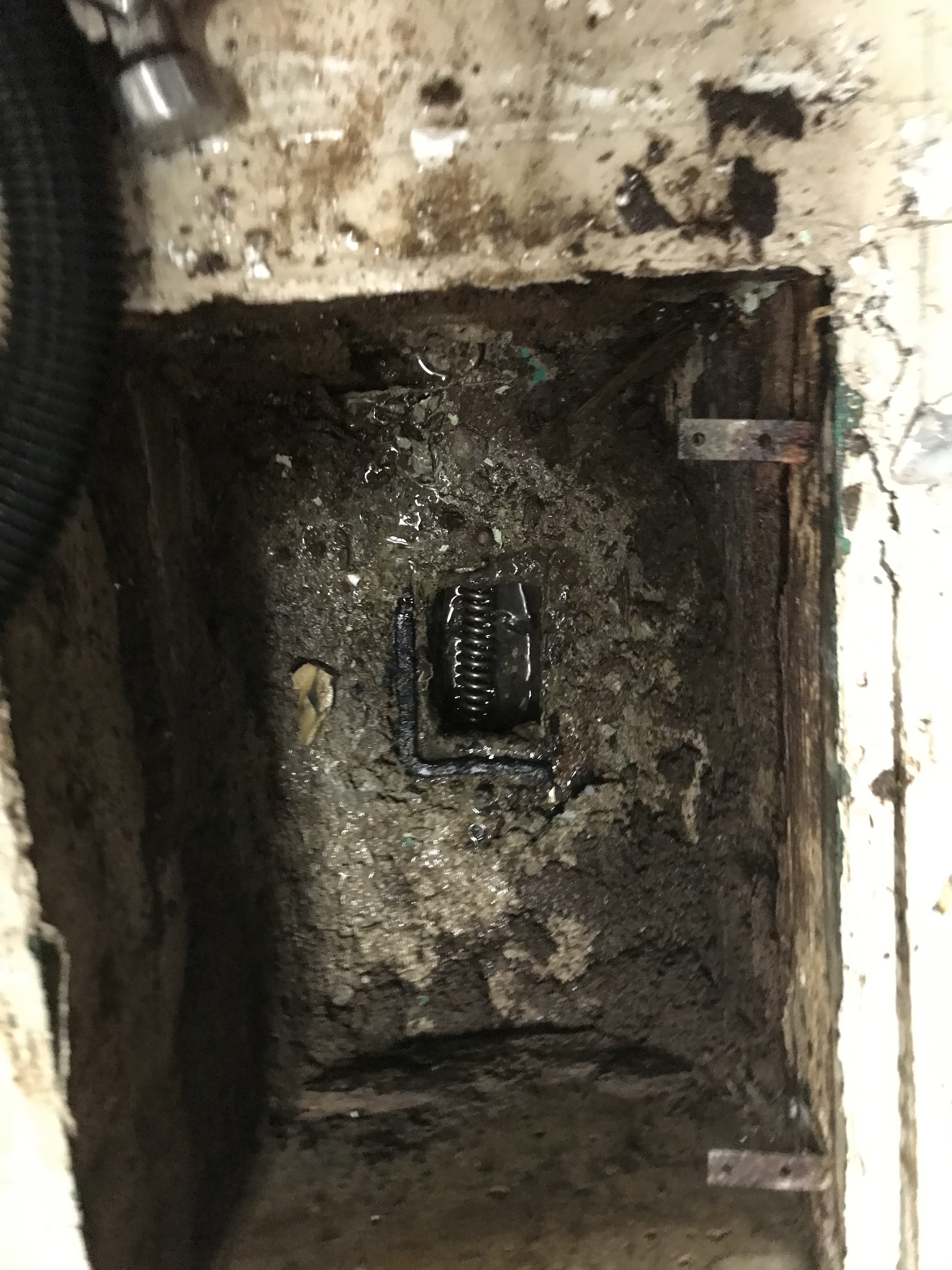 Images DrainCam Plumbing