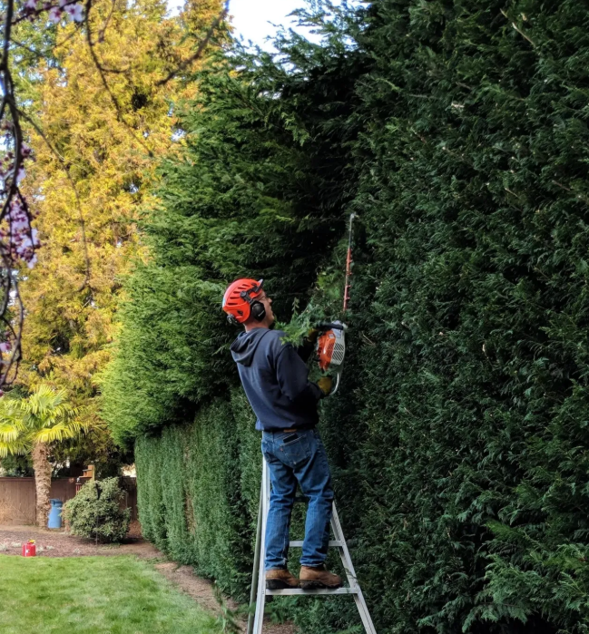 White's Tree Care Image