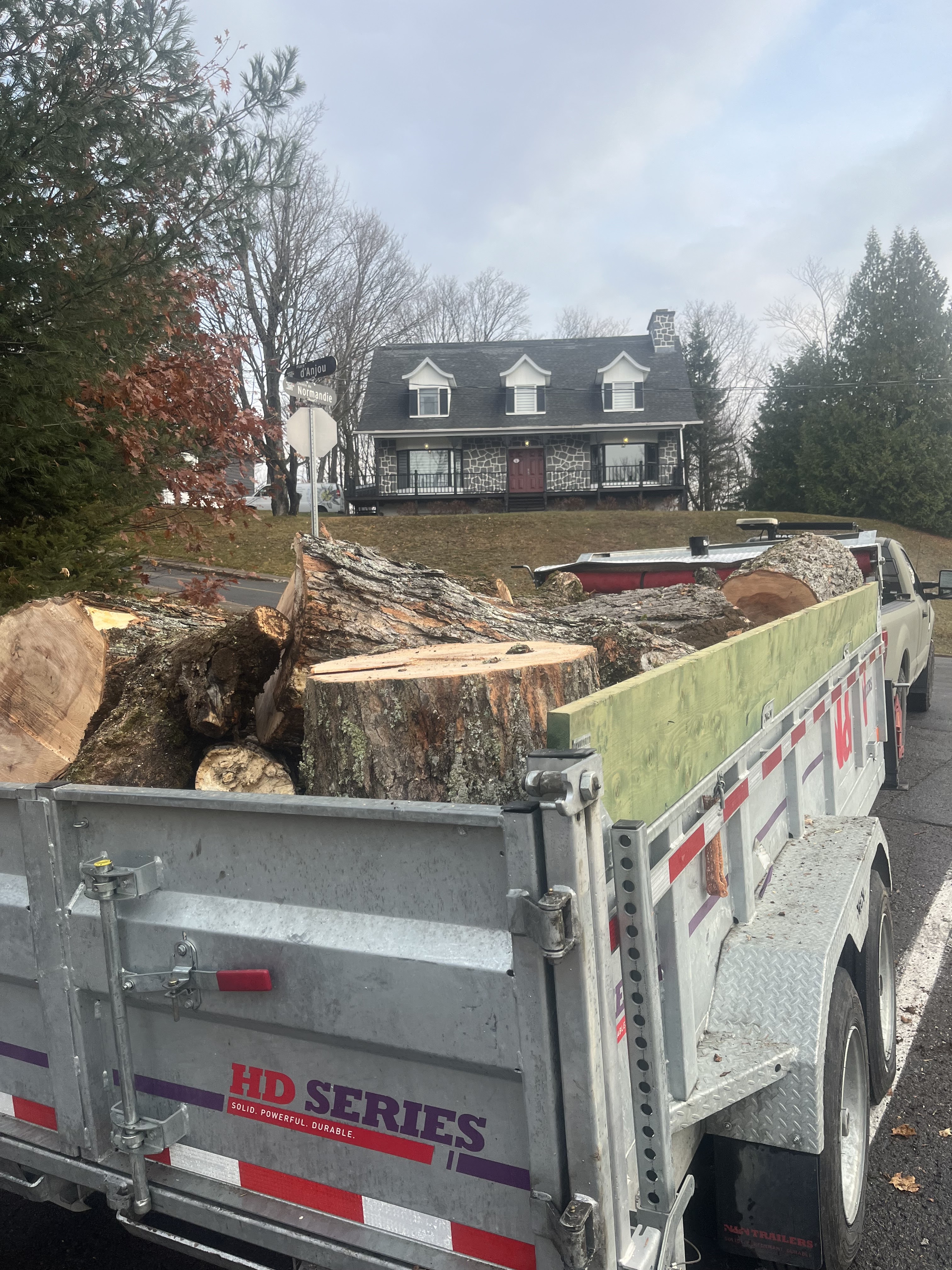 Images Élagage Frère d'Arbres