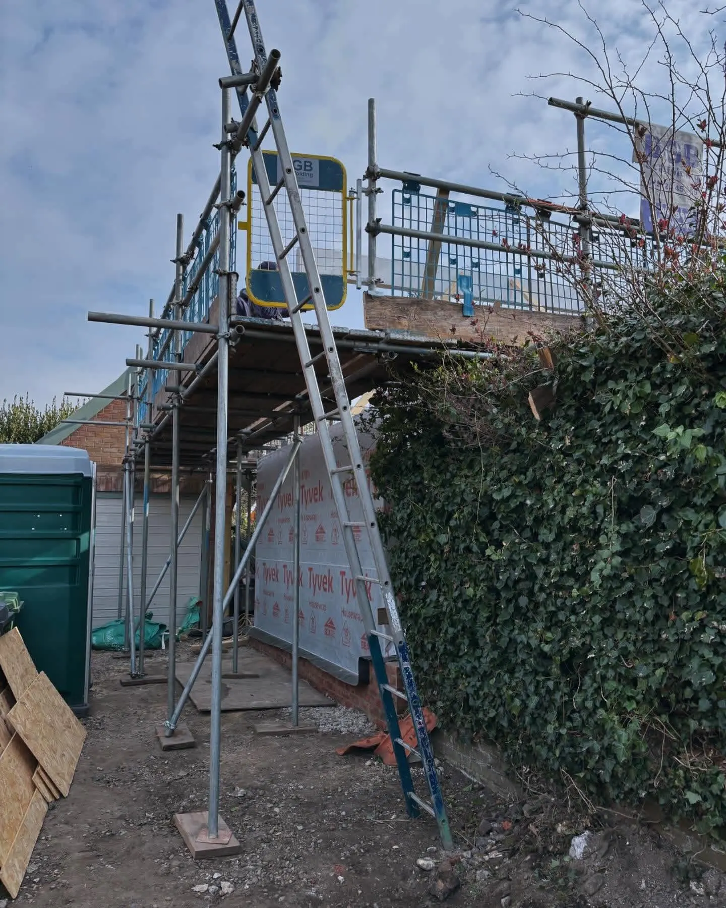 Images DGB Scaffolding