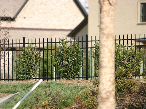 Images Vision Fencing