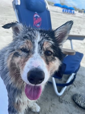 Images Teresa Chapman - State Farm Insurance Agent