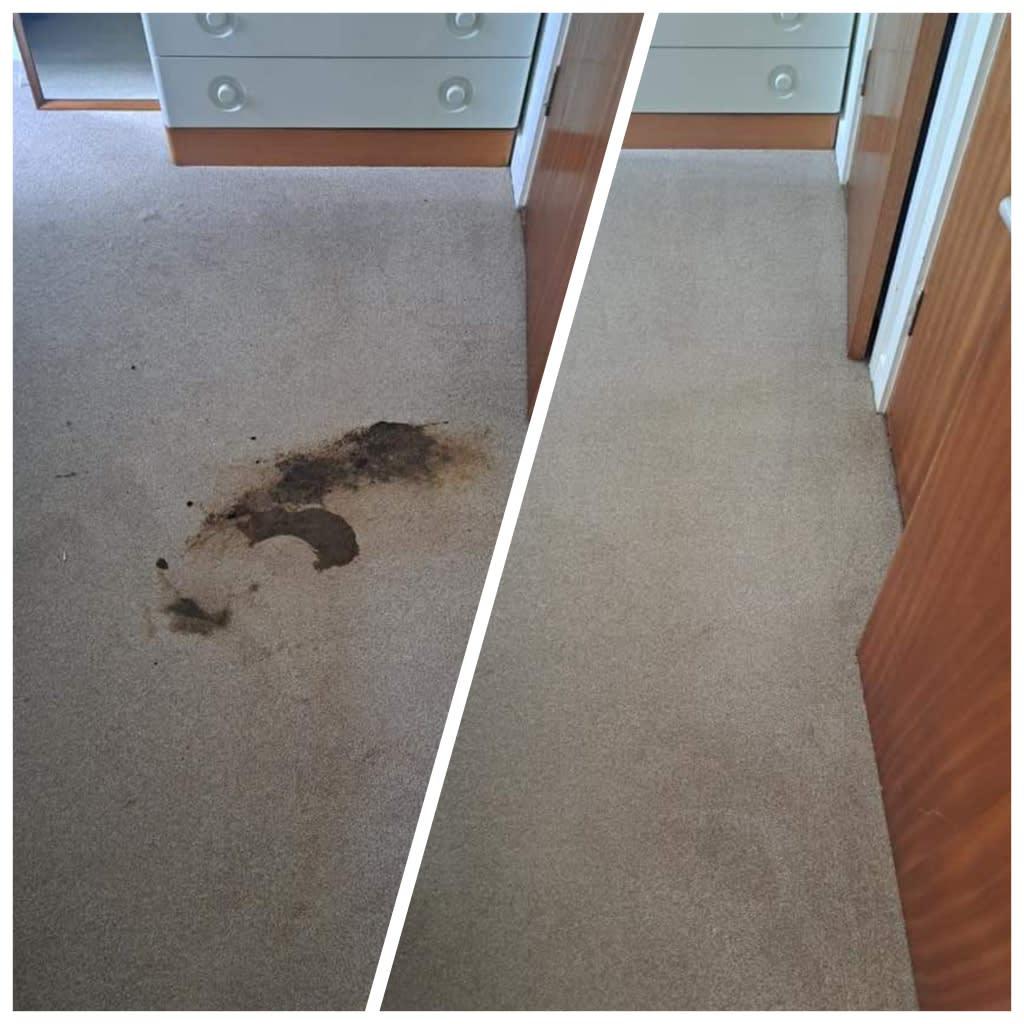 Images Brannans Carpet Cleaning And Gutters