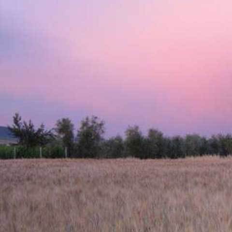 Images Bed & Breakfast  Giannetti affittacamere