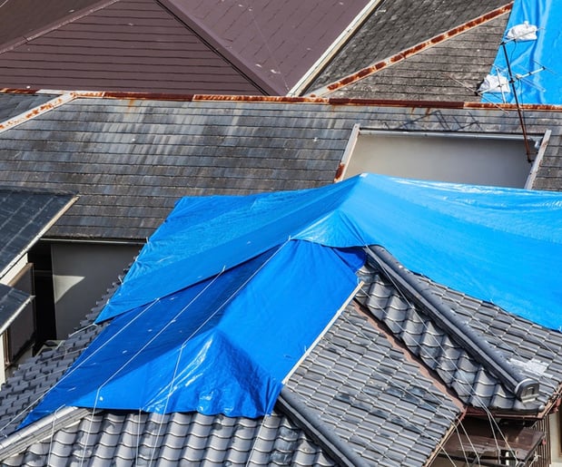Images Worthmann Roofing