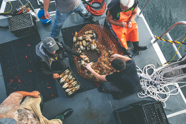 Images Suquamish Seafoods