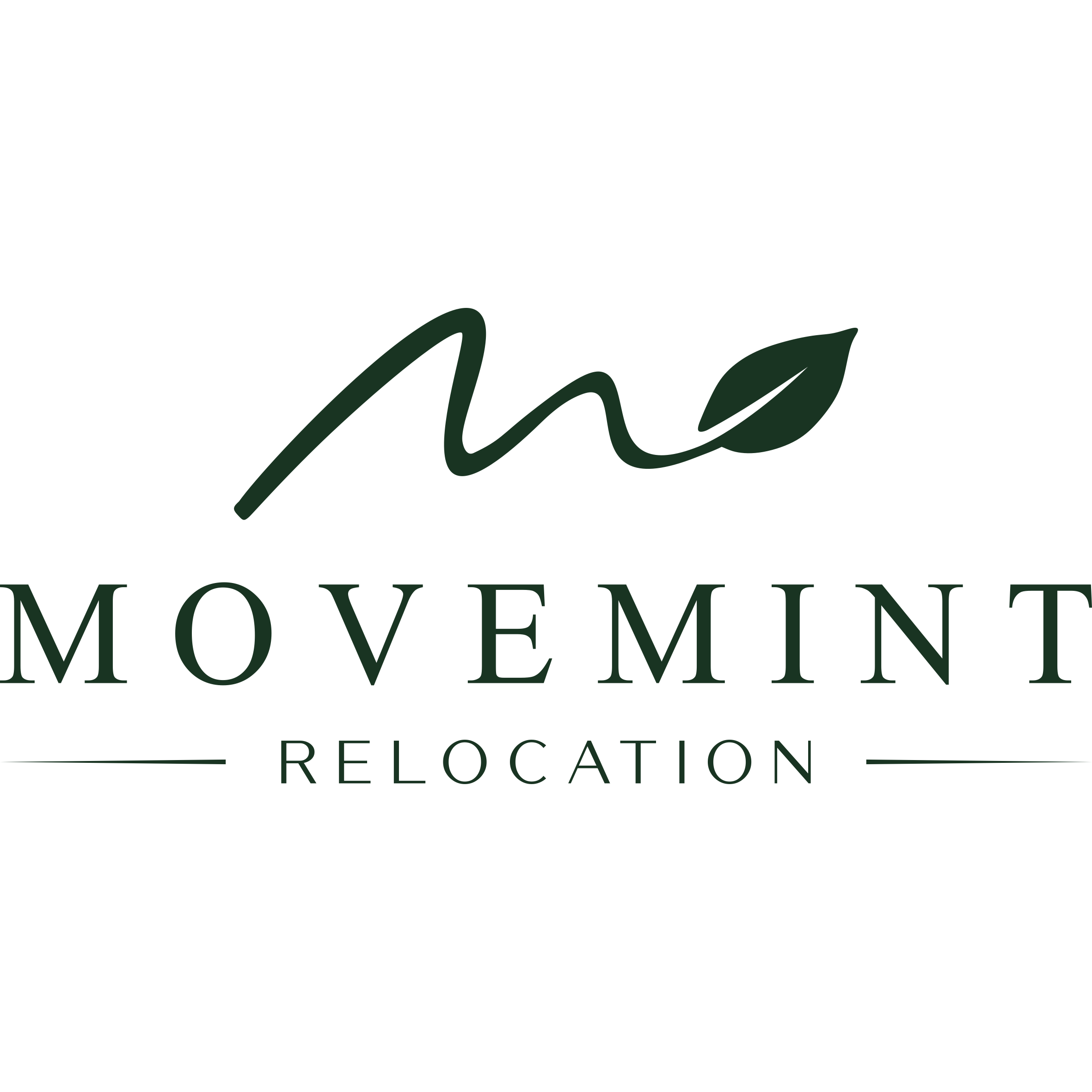 Movemint Relocation