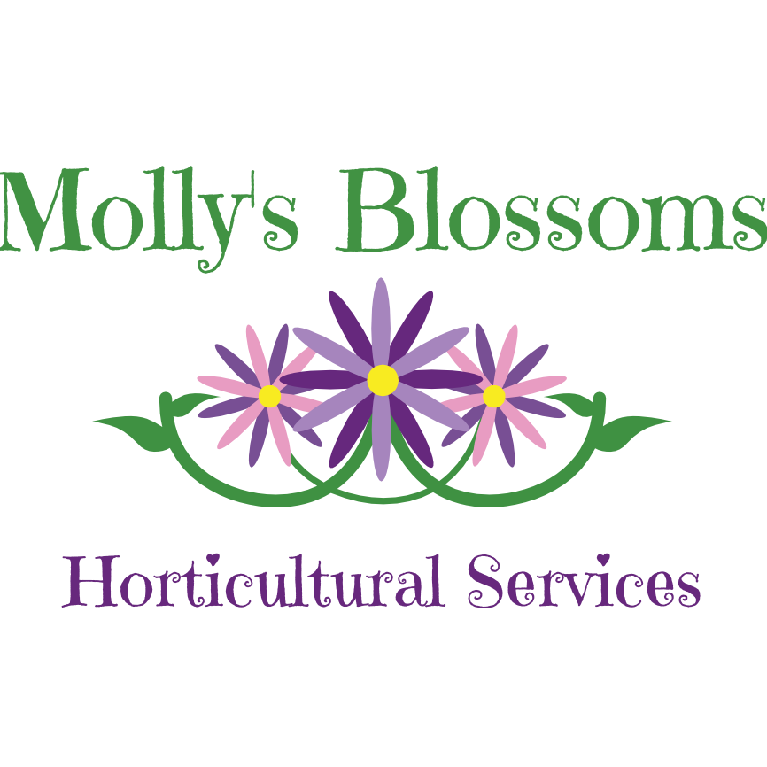 Molly's Blossoms Logo