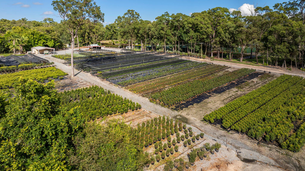 Images Barellan Nursery, Design & Landscaping