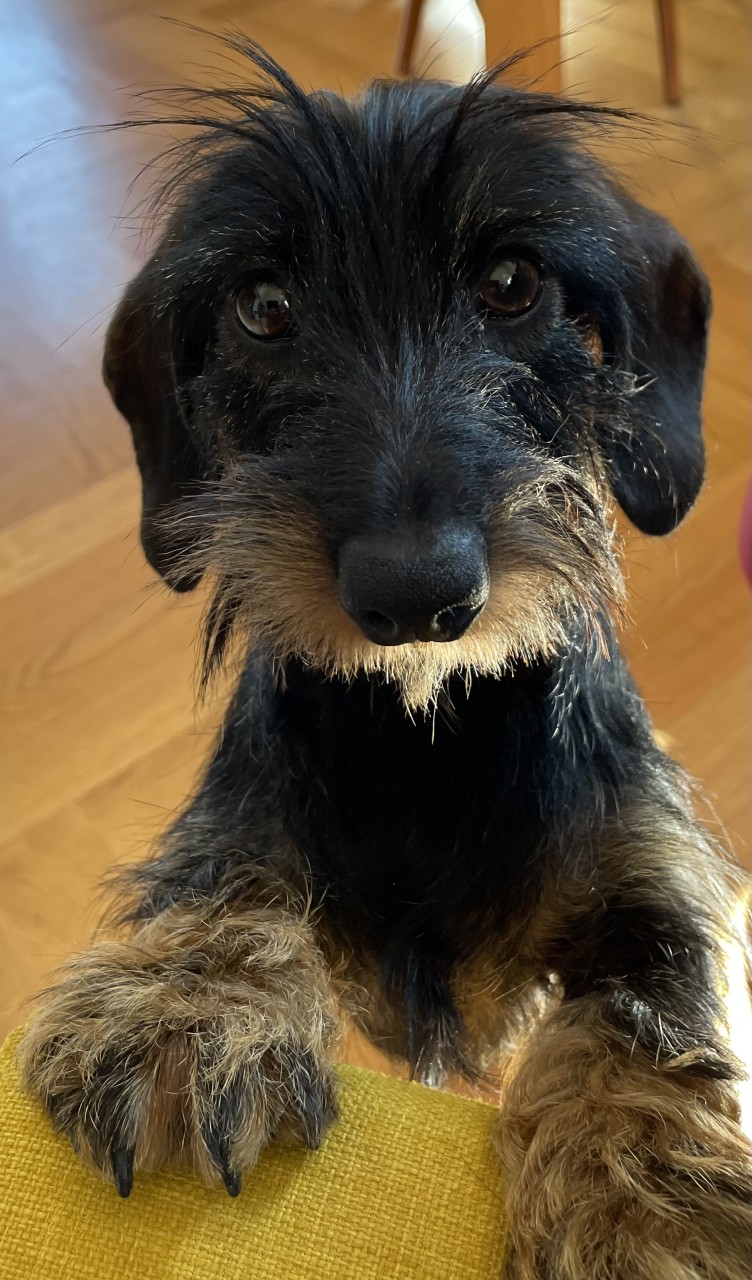 Bilder Tierarztpraxis Berchtold