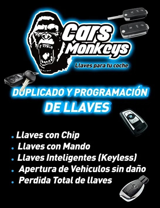 Images Cars Monkeys Llaves para tu Coche