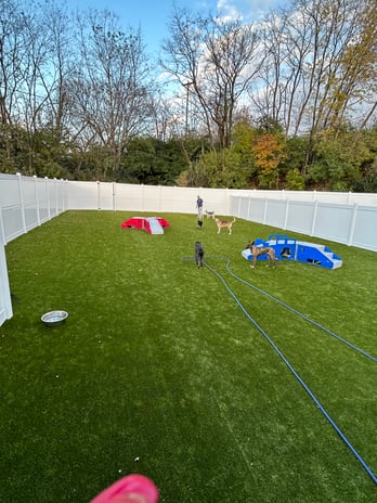 Images Playtime Pet Resort