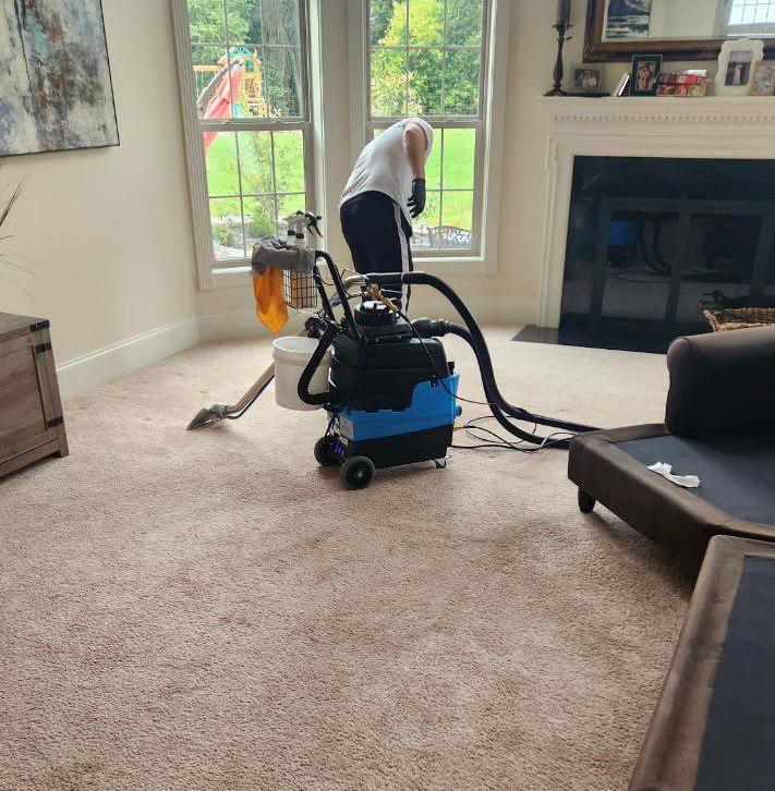 Images Eco Carpet Cleaning