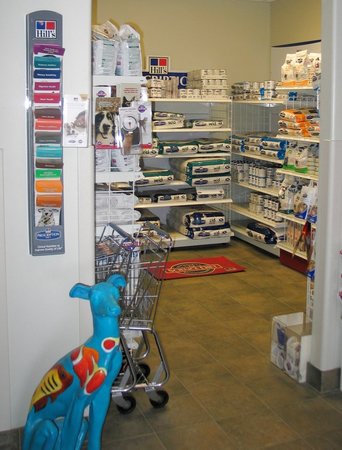 Images VCA Village Animal Hospital