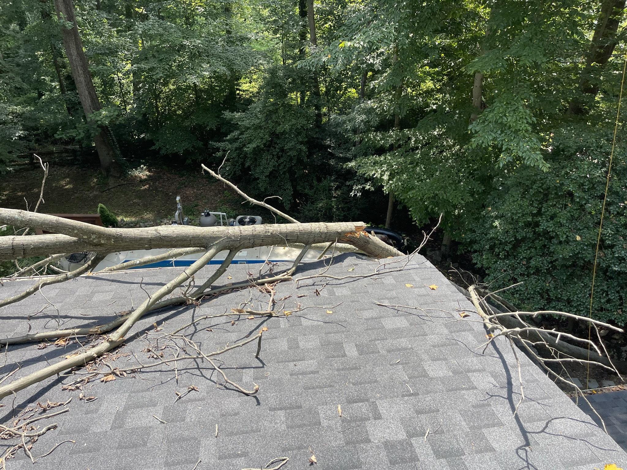 Elite Tree Care, Arnold, Md
Emergency Storm Damage- Tree removal and cleanup