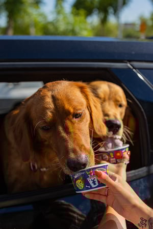 Images Dutch Bros Coffee