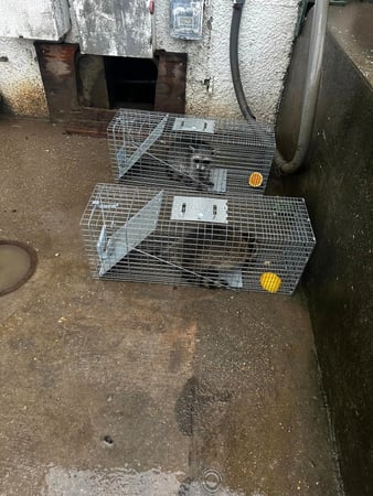 Images JPC Exterminating, LLC