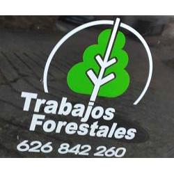 Trabajos Forestales Fernando Logroño