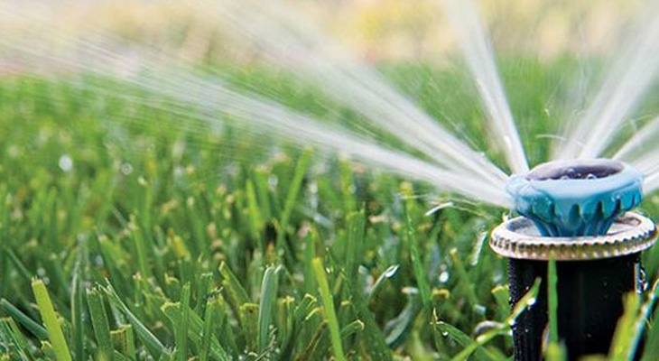 Images Zurzolo Leonardi