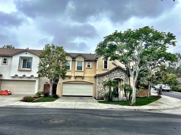 Images CM Precision Tree and Landscape Maintenance Inc