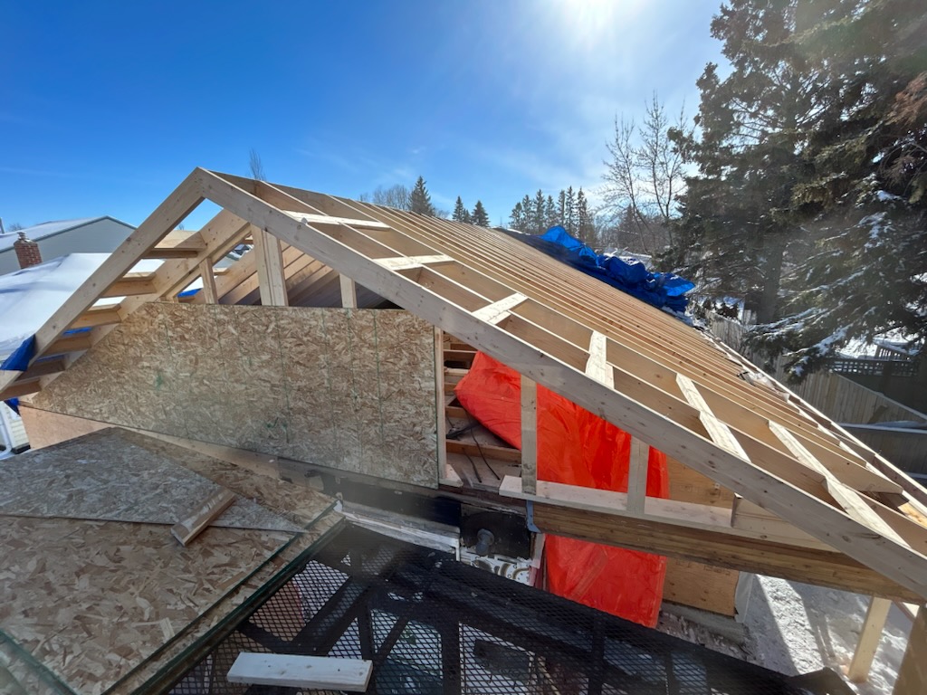 Images The Blue Spruce Builder