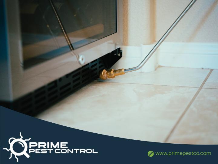 Images Prime Pest Control Las Vegas