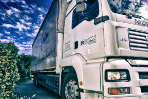 Images Boggio Trasporti S.r.l