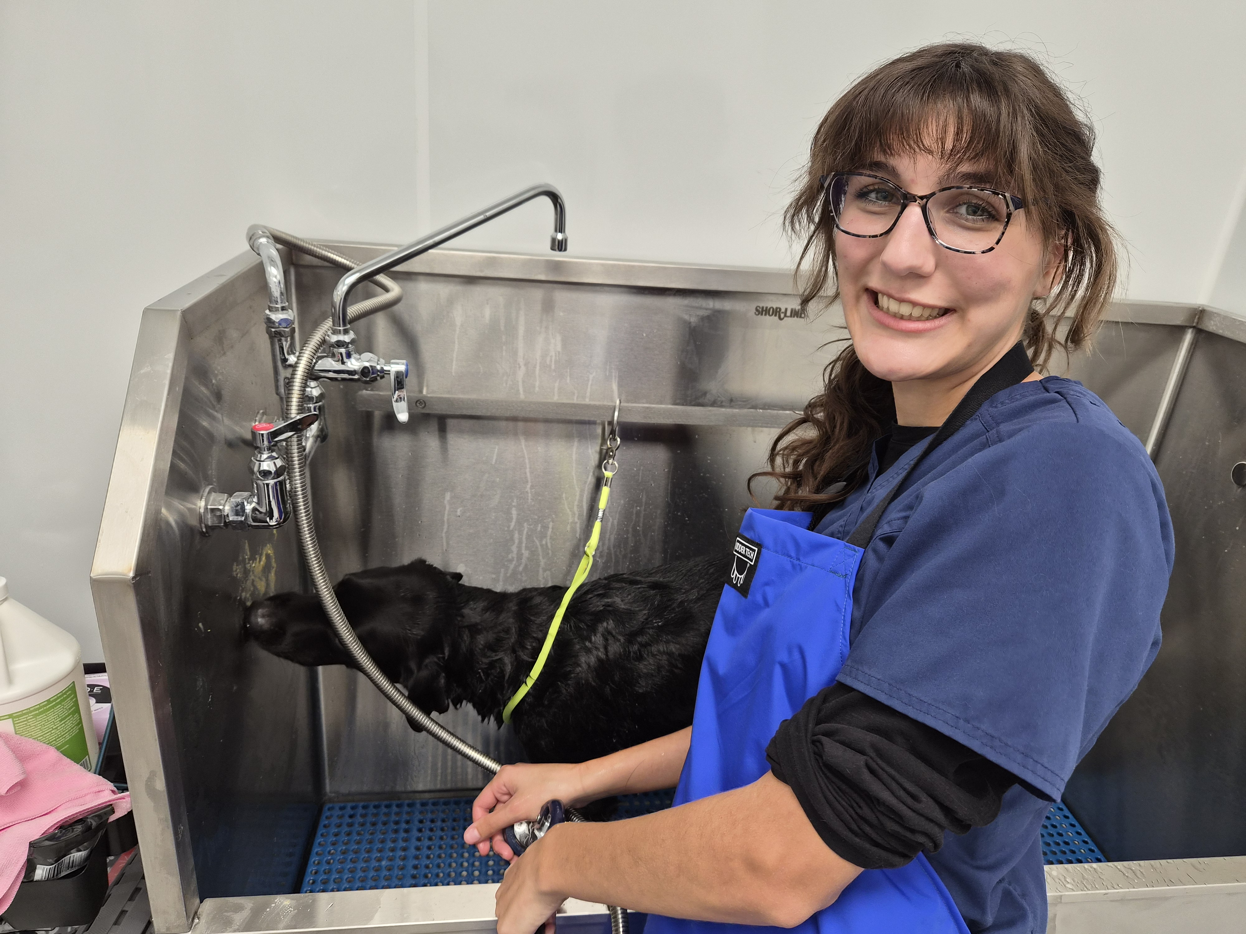 CityVet | Carmel groomer mid action!