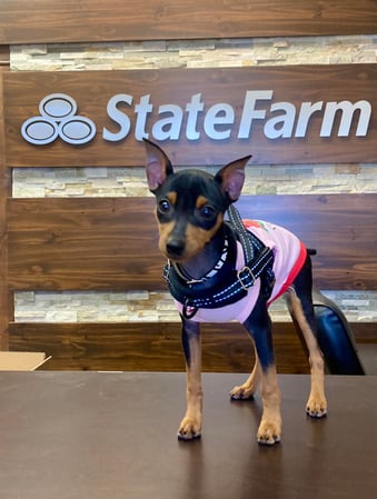 Images Valerie Bean - State Farm Insurance Agent